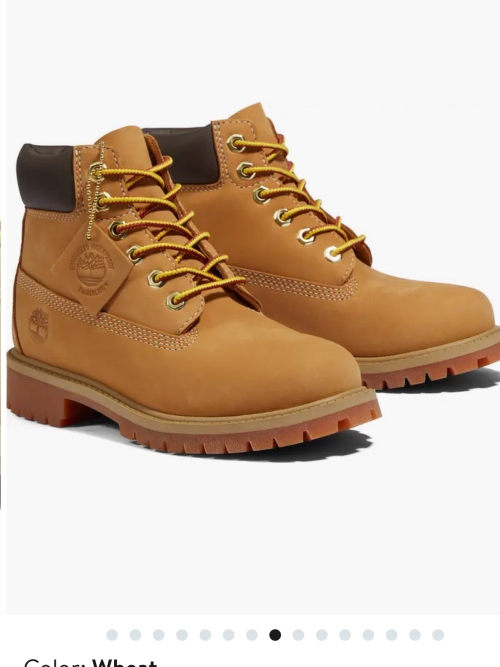 Timberland Kids' Premium 6-Inch Waterproof Boot boys 1 leather